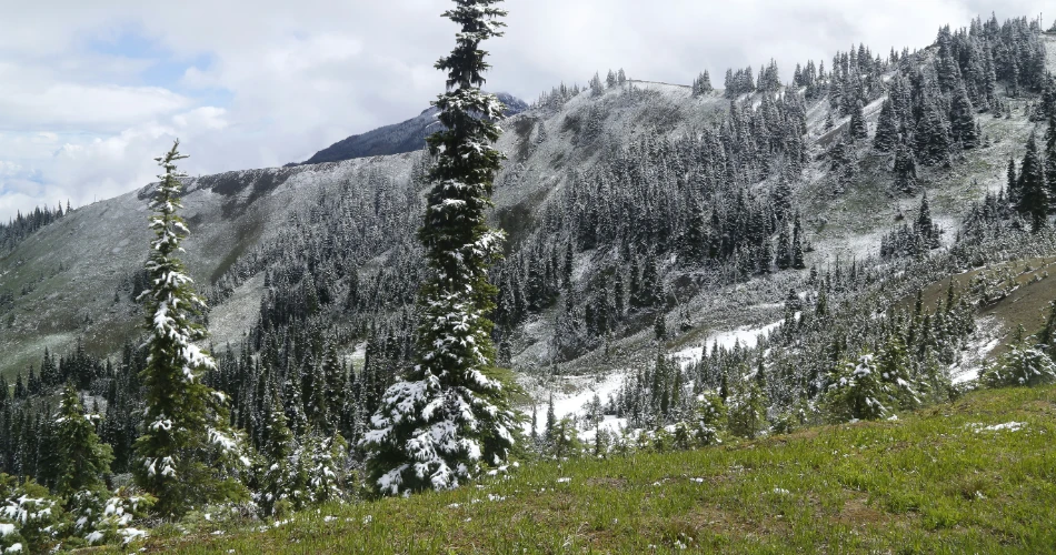 10 Best Road Trips Near Seattle