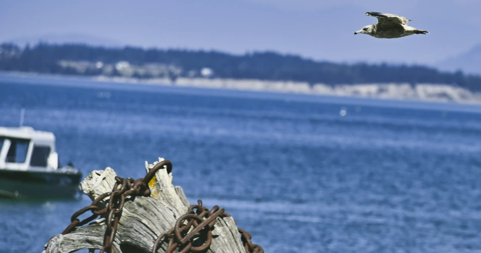 10 Best Road Trips Near Seattle
