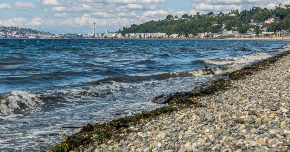48 Horas en Seattle, WA. Una Guía de Viaje Perfecta para el Fin de Semana