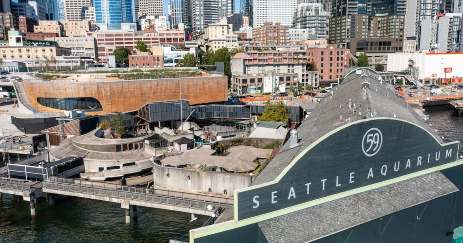 Las 10 Mejores Atracciones para Niños en Seattle