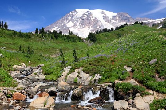 Tour image 10