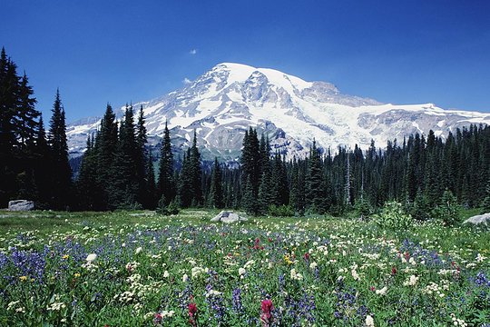 Tour image 2