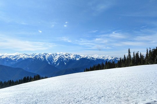 Tour image 2