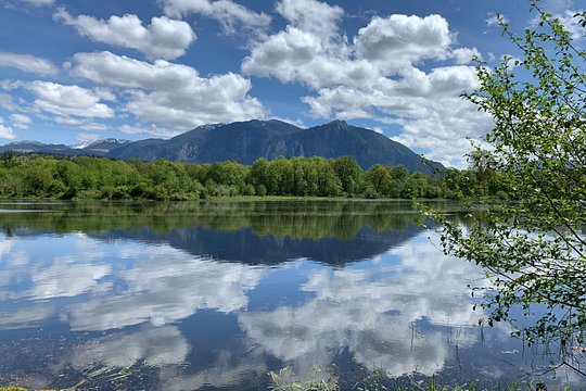 Tour image 5