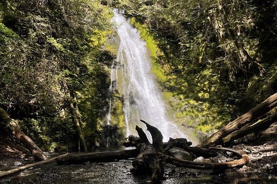 Tour image 6
