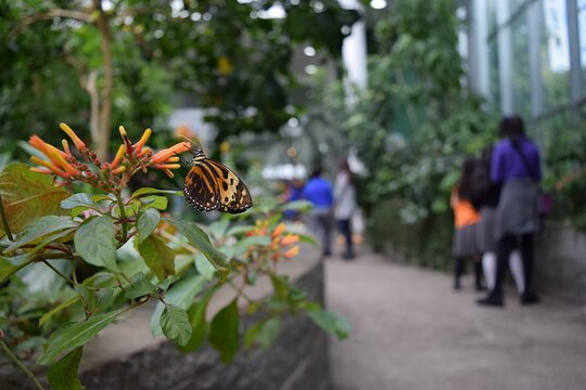 Tour image 3