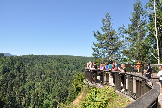 Tour image 8