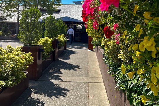 Tour image 6
